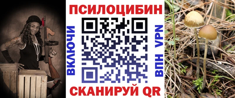 Купить где  Кировград  Галлюциногенные грибы мухоморы 
